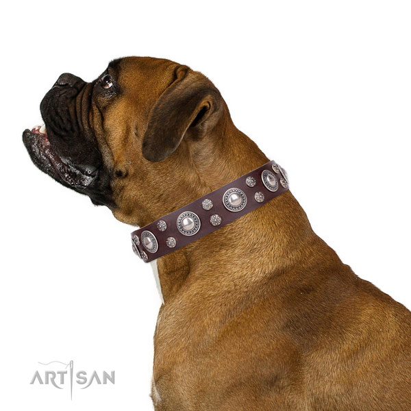 Boxer trendy full grain genuine leather dog collar for fancy walking