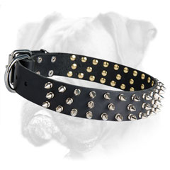 Comfortable leather Boxer collar with nickel rust proof fittings
