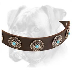Marvellous Boxer collar with decorative curved circles