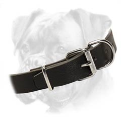 Absolutely non-toxic leather collar for Boxer