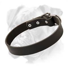 Nothing odd leather Boxer collar