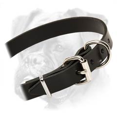 Safe and non-toxic leather Boxer collar