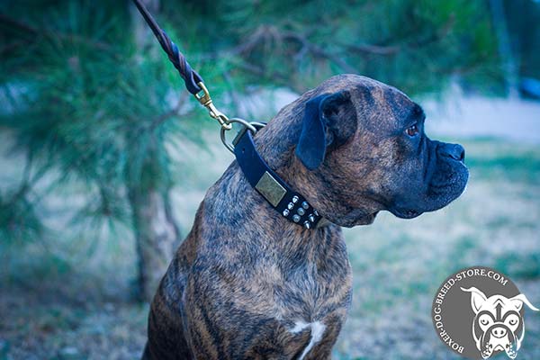 Boxer leather collar of high quality adorned with spikes, studs and plates for stylish walks