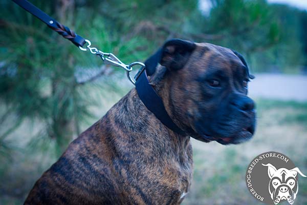 Boxer leather collar of genuine materials with d-ring for leash attachment for daily activity