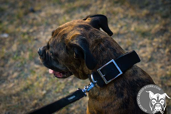 Boxer nylon collar wide with nickel plated fittings for any activity
