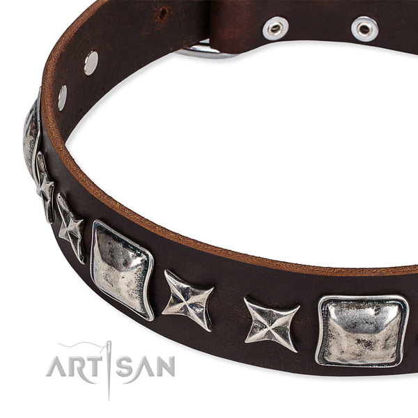 Genuine leather dog collar with studs for everyday use
