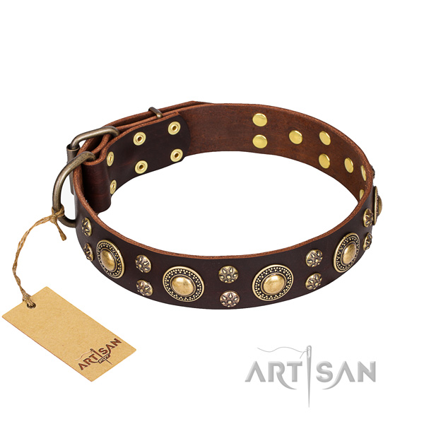 Impressive full grain natural leather dog collar for walking
