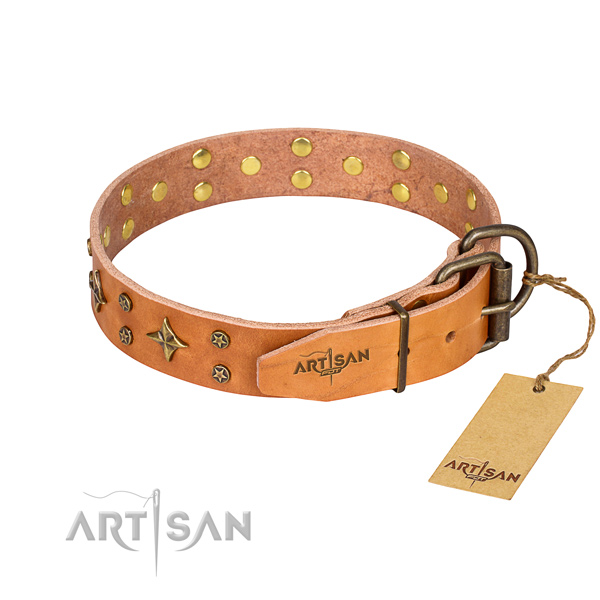 Everyday use leather collar with adornments for your dog