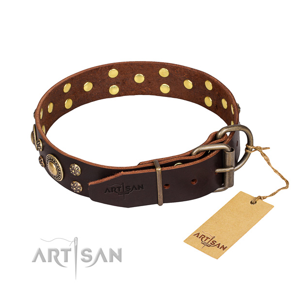Daily use full grain leather collar with embellishments for your four-legged friend