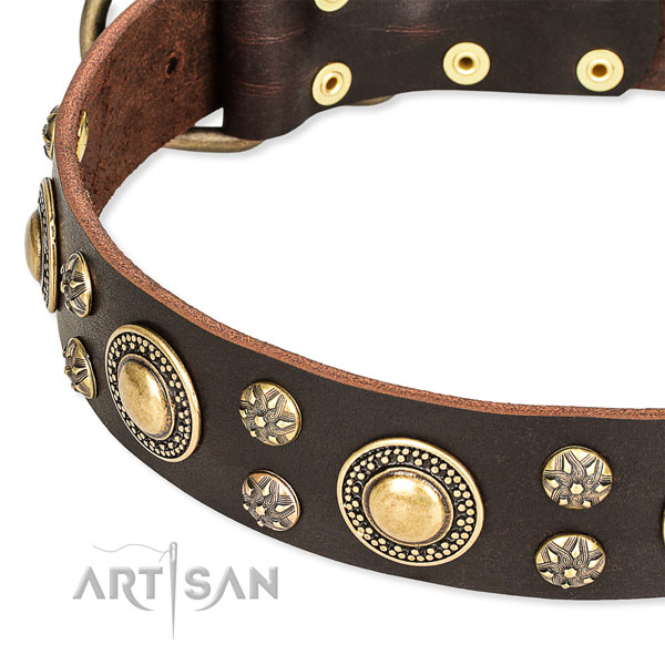 Leather dog collar with top notch studs
