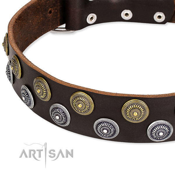 Genuine leather dog collar with amazing decorations