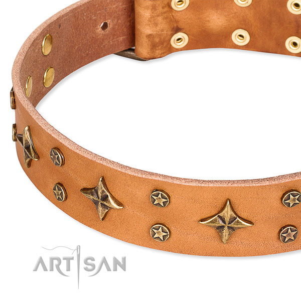 Full grain genuine leather dog collar with significant embellishments