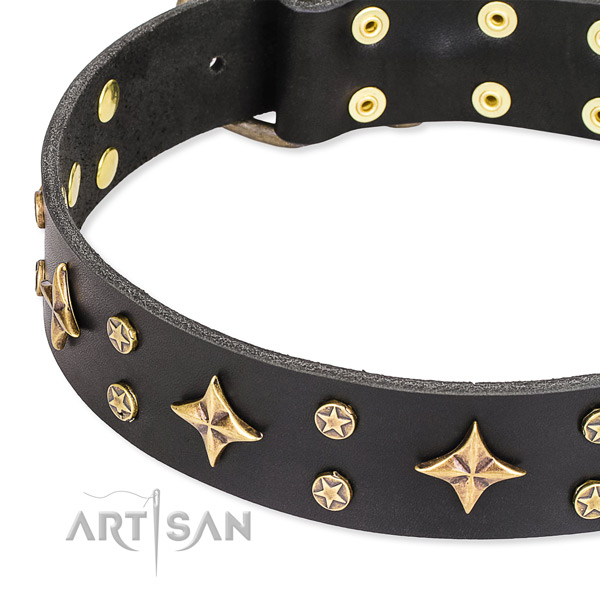 Full grain leather dog collar with extraordinary studs