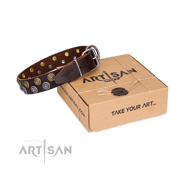 Genuine leather dog collar with adornments for daily use