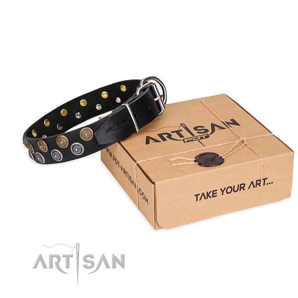 Full grain natural leather dog collar with adornments for stylish walking