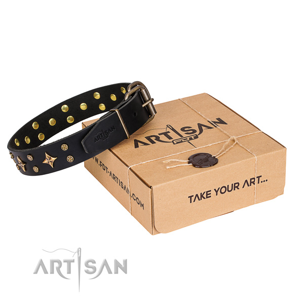 Decorated full grain genuine leather dog collar for everyday use