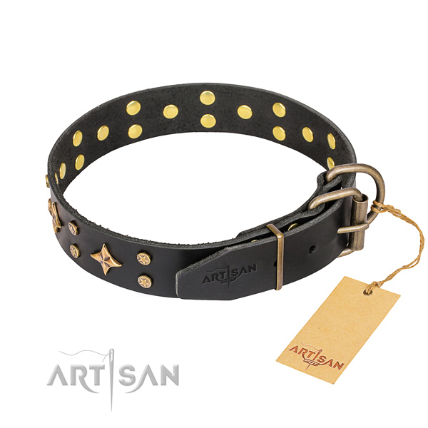 Stylish walking genuine leather collar with decorations for your canine