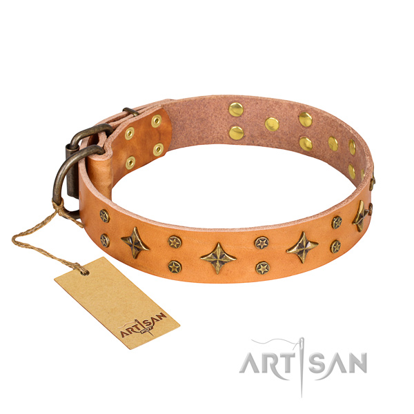 Significant full grain leather dog collar for everyday use