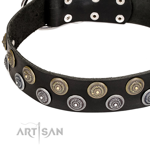 Genuine leather dog collar with impressive studs