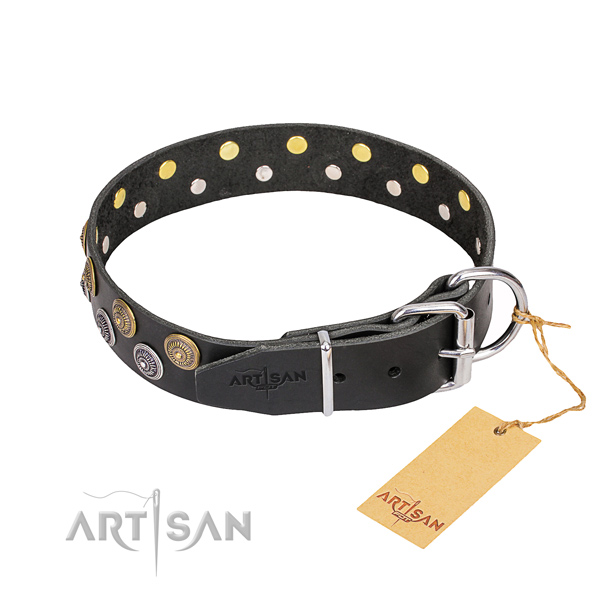 Walking full grain leather collar with adornments for your doggie