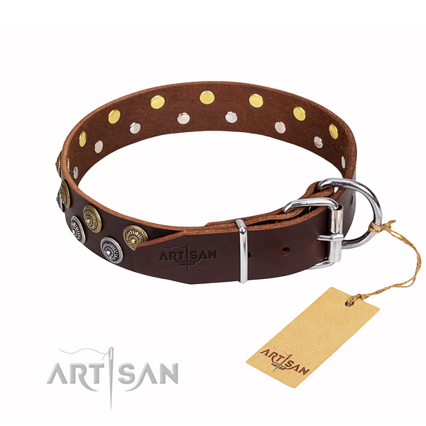 Top notch full grain natural leather dog collar for stylish walking