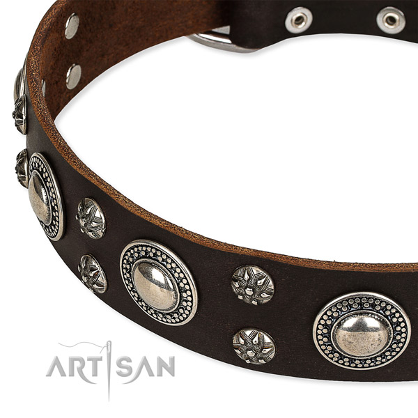 Easy to use leather dog collar with extra sturdy non-rusting buckle and D-ring