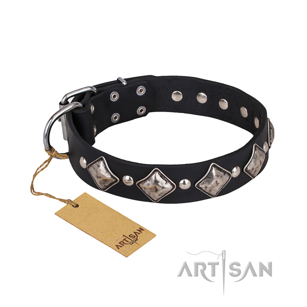 Hardwearing leather dog collar with riveted hardware