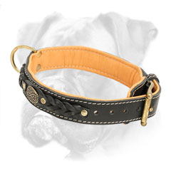 Wide leather Boxer collar decorated with luxury brass medallion