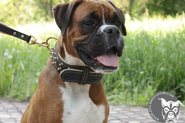 Nappa padded leather collar for Boxer