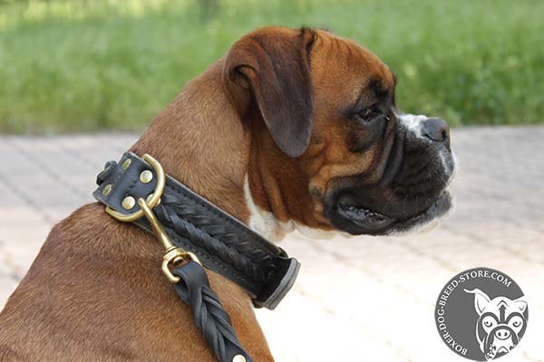 Dependable leather Boxer collar with brass D-ring