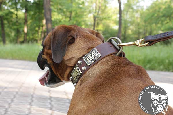 Dependable Boxer collar with brass D-ring