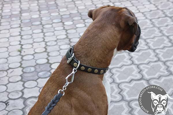 Narrow leather Boxer collar with brass circles