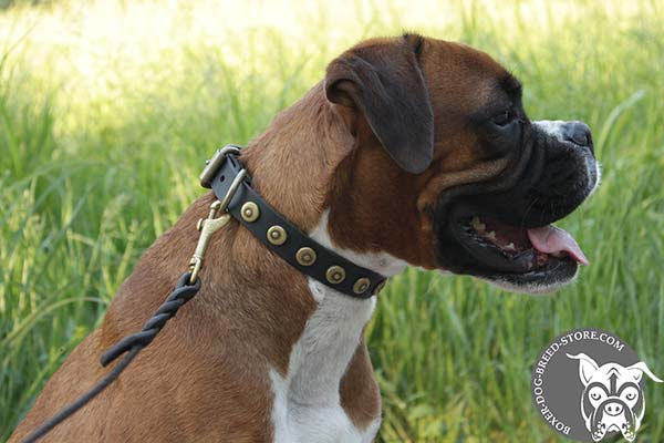 Leather Boxer collar with brass dotted circles