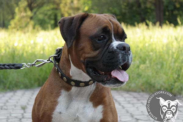 Comfortable leather Boxer collar