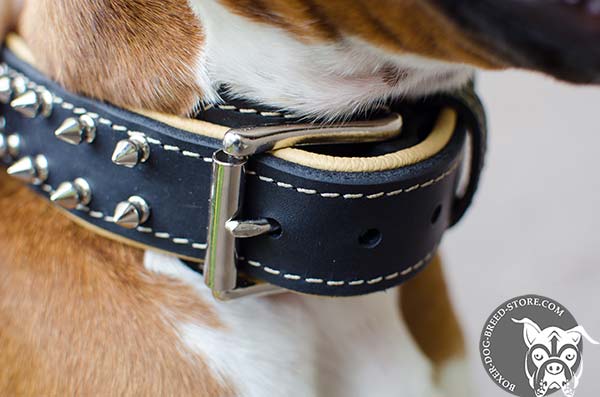 Adjustable Boxer collar with nickel plated buckle