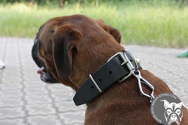 Quality Boxer collar with nickel plated hardware