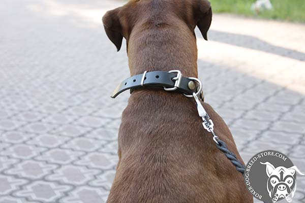 Leather Boxer collar with nickel plated fittings
