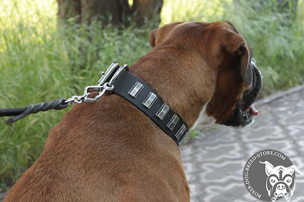 Boxer collar with nickel plated plates