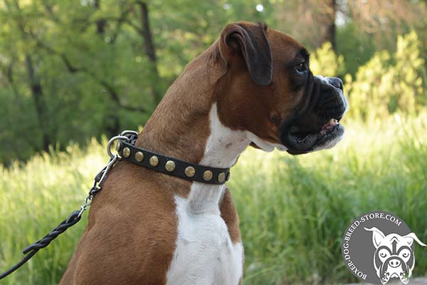 Non-toxic and safe leather Boxer collar