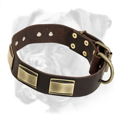 Luxury style leather Boxer collar with old style brass plates
