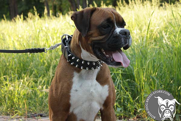 Trendy leather Boxer collar with two rows of spikes