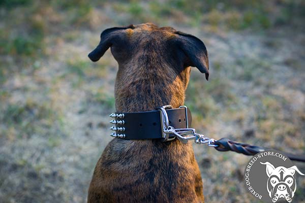 Spiked wide leather Boxer collar