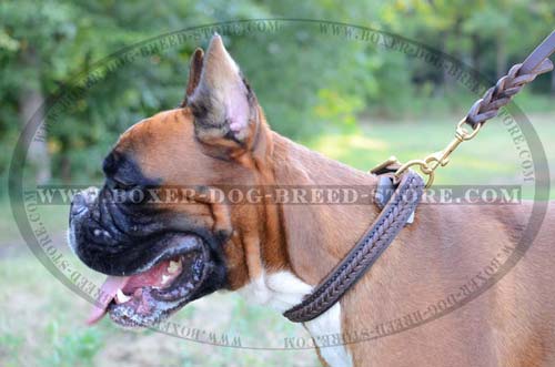 Exclusive braided design for leather Boxer collar