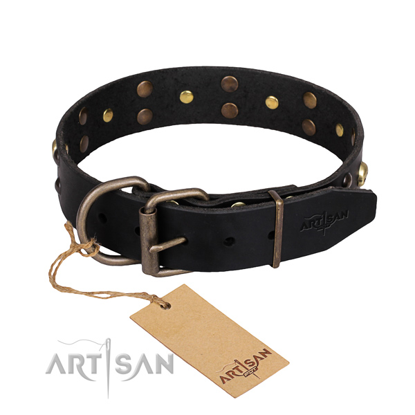 Day-to-day leather dog collar with unique design embellishments