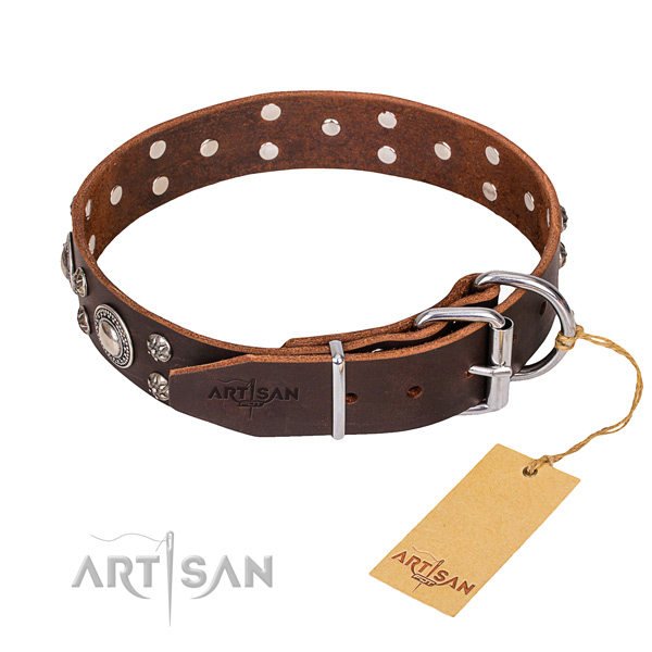 Stylish leather collar for your gorgeous pet