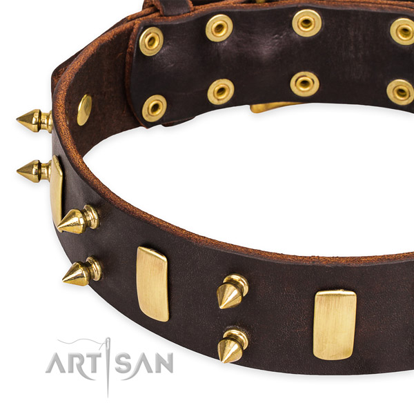 Quick to fasten leather Boxer collar with resistant brass plated buckle