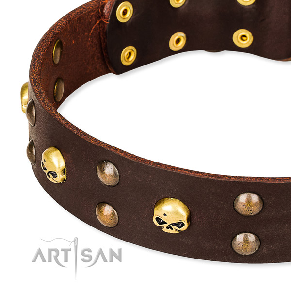 Leather dog collar with rounded edges for convenient daily wearing