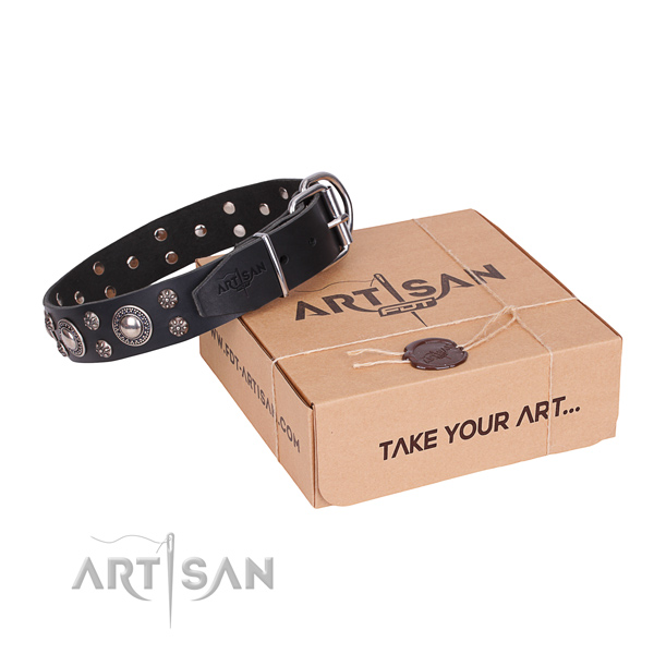 Day-to-day leather dog collar with incredible studs