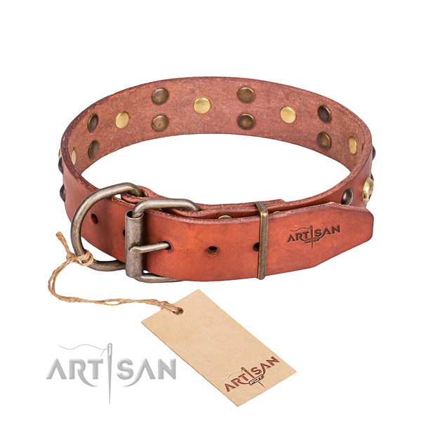Daily leather dog collar for reliable use