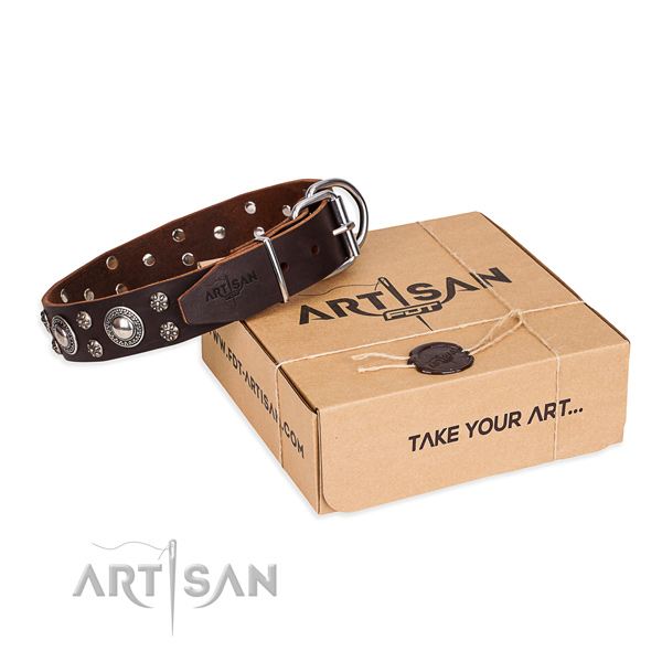 Casual style leather dog collar with stunning adornments